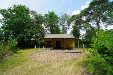 Safari Glampingtent på De Wije Werelt i Holland, omgivet af grønne træer og et åbent græsareal.