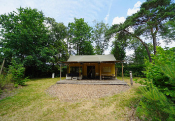 Safari Glampingtent på De Wije Werelt i Holland, omgivet af grønne træer og et åbent græsareal.