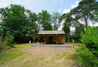 Tienda de glamping safari en De Wije Werelt, Países Bajos, rodeada de árboles y naturaleza verde.