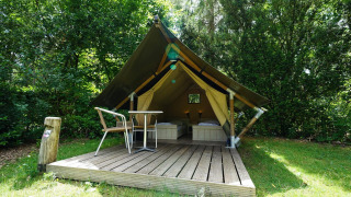 Mini glamping tent with wooden deck, two beds, and outdoor seating area surrounded by lush green trees.