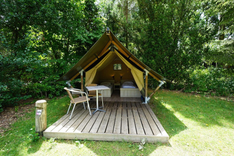 Mini tienda de glamping en De Wije Werelt, Países Bajos, con dos camas y terraza entre árboles verdes.