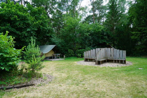 Safari-Zelt Mini Glamping im De Wije Werelt, Niederlande, mit Holzsitzbank und Wald im Hintergrund.