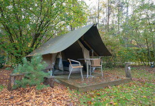 Mini tenda glamping a De Wije Werelt nei Paesi Bassi con terrazza, sedie e immersa nella natura.