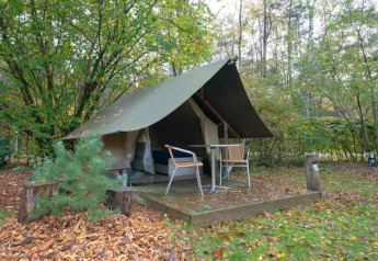 Mini glamping telt ved De Wije Werelt i Holland, omgivet af træer, blade og natur, udendørs siddeplads.