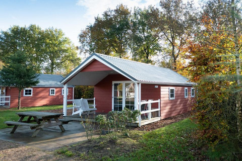 Rote Boslodge im De Wije Werelt, Niederlande, umgeben von Bäumen und mit einer Bank im Vordergrund.