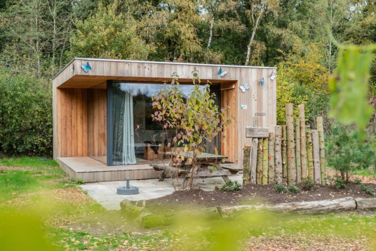 Cabaña de madera llamada Fred en De Wije Werelt, Países Bajos, rodeada de naturaleza y árboles.