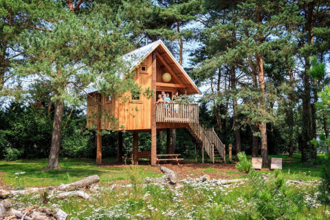 Casa del árbol de madera elevada entre pinos, con terraza y escaleras, rodeada de naturaleza y pasto verde.