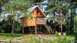 Cabane en bois perchée dans les arbres, entourée de pins et de verdure, avec une terrasse et un escalier.