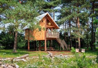 Casa del árbol de madera elevada entre pinos, con terraza y escaleras, rodeada de naturaleza y pasto verde.
