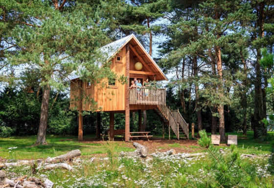 Baumhaus aus Holz auf Stelzen, umgeben von Pinien und Wiese, mit Treppe und Picknicktisch darunter.