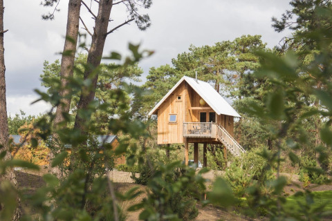 Casa sull’albero in legno a De Wije Werelt, Paesi Bassi, circondata da pini e vegetazione.