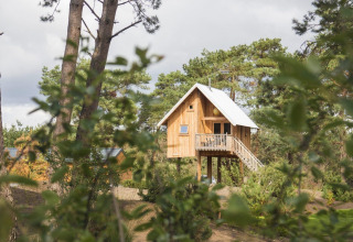 Casa del árbol de madera sobre pilotes en De Wije Werelt, Países Bajos, rodeada de árboles y naturaleza.