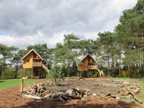 Deux cabanes en bois sur pilotis à De Wije Werelt, Pays-Bas, entourées de verdure sous un ciel nuageux.