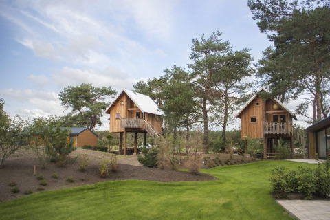 Casas en los árboles en De Wije Werelt, Países Bajos, rodeadas de árboles altos y césped verde.