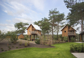 Treehouses on stilts at De Wije Werelt in the Netherlands, set among tall trees and lush green grass.