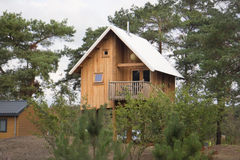 A cozy tiny treehouse with a balcony and white roof, nestled among pine trees at De Wije Werelt, Netherlands.