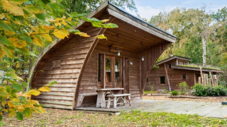 Photo de tiny house Geurt, une cabane en bois au toit incurvé, entourée d’arbres et de feuillage.