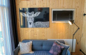 Gemütliches Wohnzimmer eines Tiny House in Buitenhuizen, Niederlande, mit Holzwänden und Hirschbild.