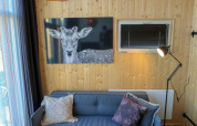 Hyggelig stue i Tiny House ved Buitenhuizen, Holland, med trævægge, sofa og hjortevægkunst.