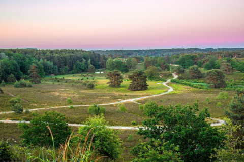 Uitzicht op een groen landschap met kronkelende paden bij een glamping accommodatie onder een pastelkleurige lucht.