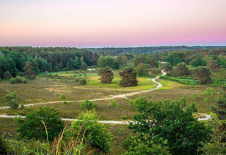 Uitzicht op een groen landschap met kronkelende paden bij een glamping accommodatie onder een pastelkleurige lucht.