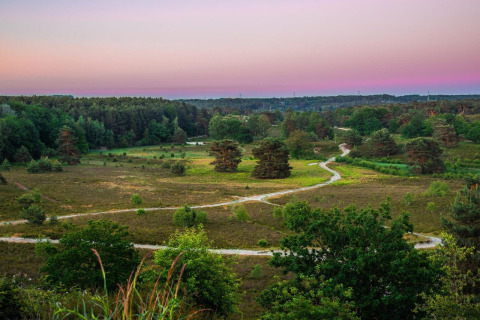 Uitzicht op een groen landschap met kronkelende paden bij een glamping accommodatie onder een pastelkleurige lucht.