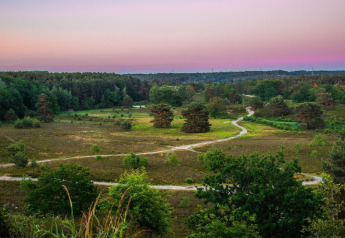 Vista di un paesaggio verde con sentieri tortuosi presso una struttura glamping sotto un cielo rosa.