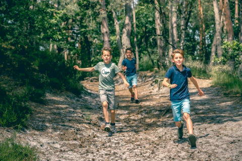 Drie jongens rennen vrolijk door het bos tijdens een glampingverblijf op een zonnige dag tussen de bomen.