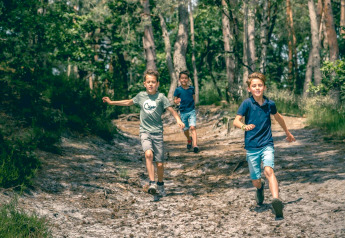 Drie jongens rennen vrolijk door het bos tijdens een glampingverblijf op een zonnige dag tussen de bomen.