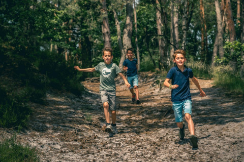 Drie jongens rennen vrolijk door het bos tijdens een glampingverblijf op een zonnige dag tussen de bomen.