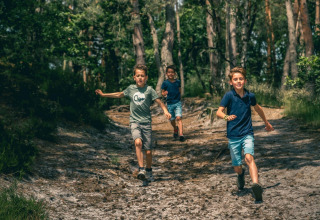 Drie jongens rennen vrolijk door het bos tijdens een glampingverblijf op een zonnige dag tussen de bomen.
