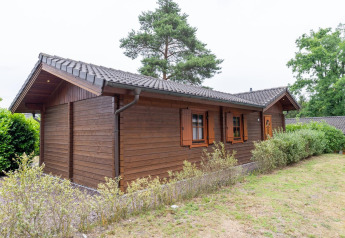 Exterior view of Boekhorst Royal lodge featuring wooden walls, green shrubs, and a grassy yard in daylight.