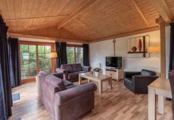 Woonkamer in Boekhorst Royal lodge, Brunssummerheide, Nederland, met houten plafond en grote ramen.