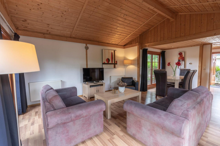 Sala de estar en Boekhorst Royal lodge en Brunssummerheide, Países Bajos, con techo de madera y sofá cómodo.