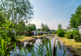 Idyllic glamping site view featuring cabins beside a narrow pond, surrounded by lush greenery and trees.