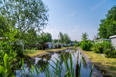 Idyllisch glampinggebied met huisjes langs een smalle vijver, omringd door groene bomen en planten.