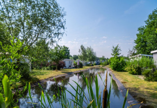 Sfeervolle glampinglocatie met chalets aan een smalle vijver, omgeven door bomen en groene natuur.