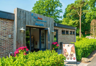 Recepción de un resort glamping con flores y cartel, rodeada de árboles y arbustos verdes bajo el sol.