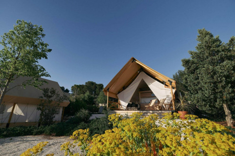 Glampingtent lodge with luxury tents in a lush garden, surrounded by trees and flowers on a sunny day.