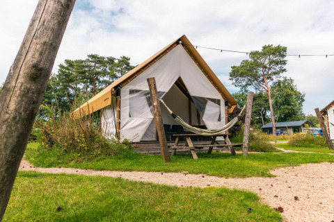 Glamping tent with hammock and picnic table outside, surrounded by grass and trees at a campsite.