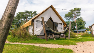 Tenda da glamping con amaca e tavolo da picnic fuori, circondata da prato e alberi in campeggio.