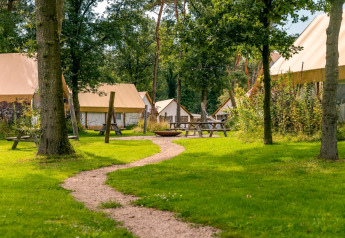 Weg führt durch eine grüne Glamping-Anlage mit Zelten und Picknicktischen bei Reestervallei, Niederlande.
