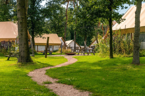 Path through grassy glamping site with large tents and picnic benches at Reestervallei lodge in Netherlands.