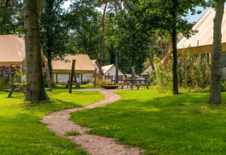 Sentiero tra prati verdi con tende glamping e tavoli da picnic al lodge Reestervallei nei Paesi Bassi.