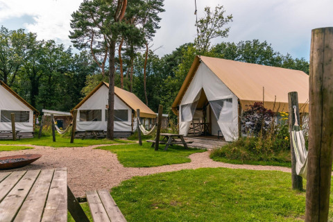 Glamping tents at Reestervallei in the Netherlands, surrounded by trees, hammocks, and picnic tables.