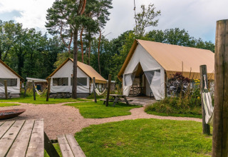 Glampingtelte ved Reestervallei i Holland omgivet af træer, græsplæne, hammocks og picnicborde.