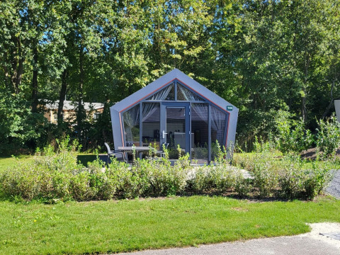 Foto de la tiny house Solo Retreat en Reestervallei, Países Bajos, rodeada de árboles y vegetación.