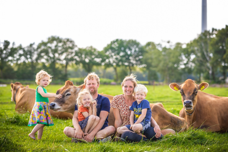 Eine Familie sitzt mit ihren Kindern und braunen Kühen auf der Wiese bei FarmCamps BoeBaDoe in Limburg.