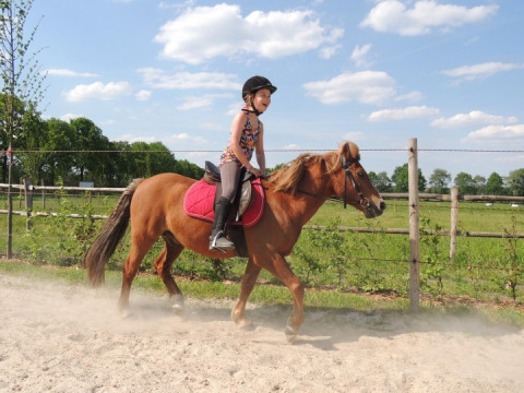Child riding a brown pony at FarmCamps BoeBaDoe, a holiday park in the countryside of Limburg, Netherlands.