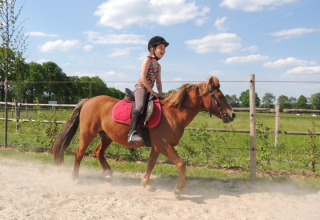 Bambina cavalca un pony marrone a FarmCamps BoeBaDoe, un parco vacanze rurale in Limburgo, Paesi Bassi.